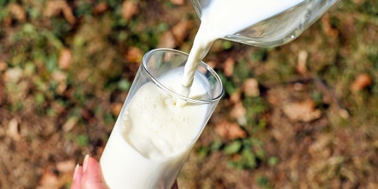Breakthrough milk researcher is creme de la creme of December graduands