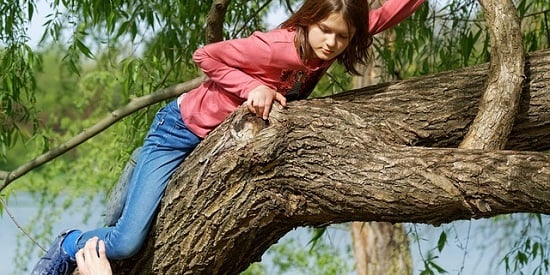 Playing it safe: why parents need to let children take risks when they play 