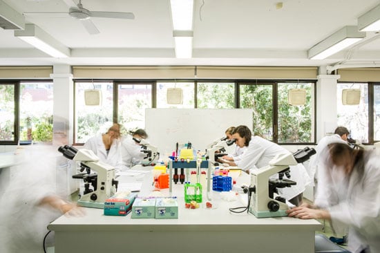 Four awesome reasons why you should study science at Deakin