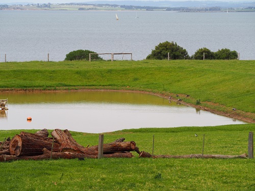 Why fencing farm dams is good for the climate