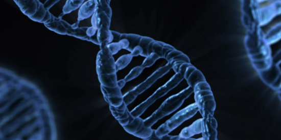 Epigenetics: research explores policy risks