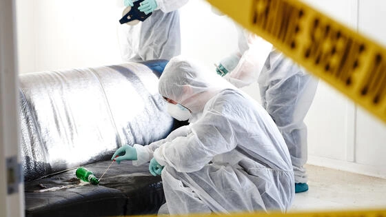 Deakin bachelor of forensic science student works at crime scene.