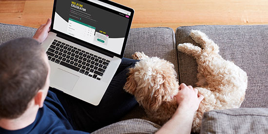 Man sitting on couch using ATAR calculator on laptop whilst patting dog.
