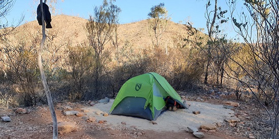 Green tent pitched among bushland