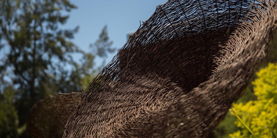 https://www.deakin.edu.au/__data/assets/image/0003/2590086/1366_banner_950x475.jpg