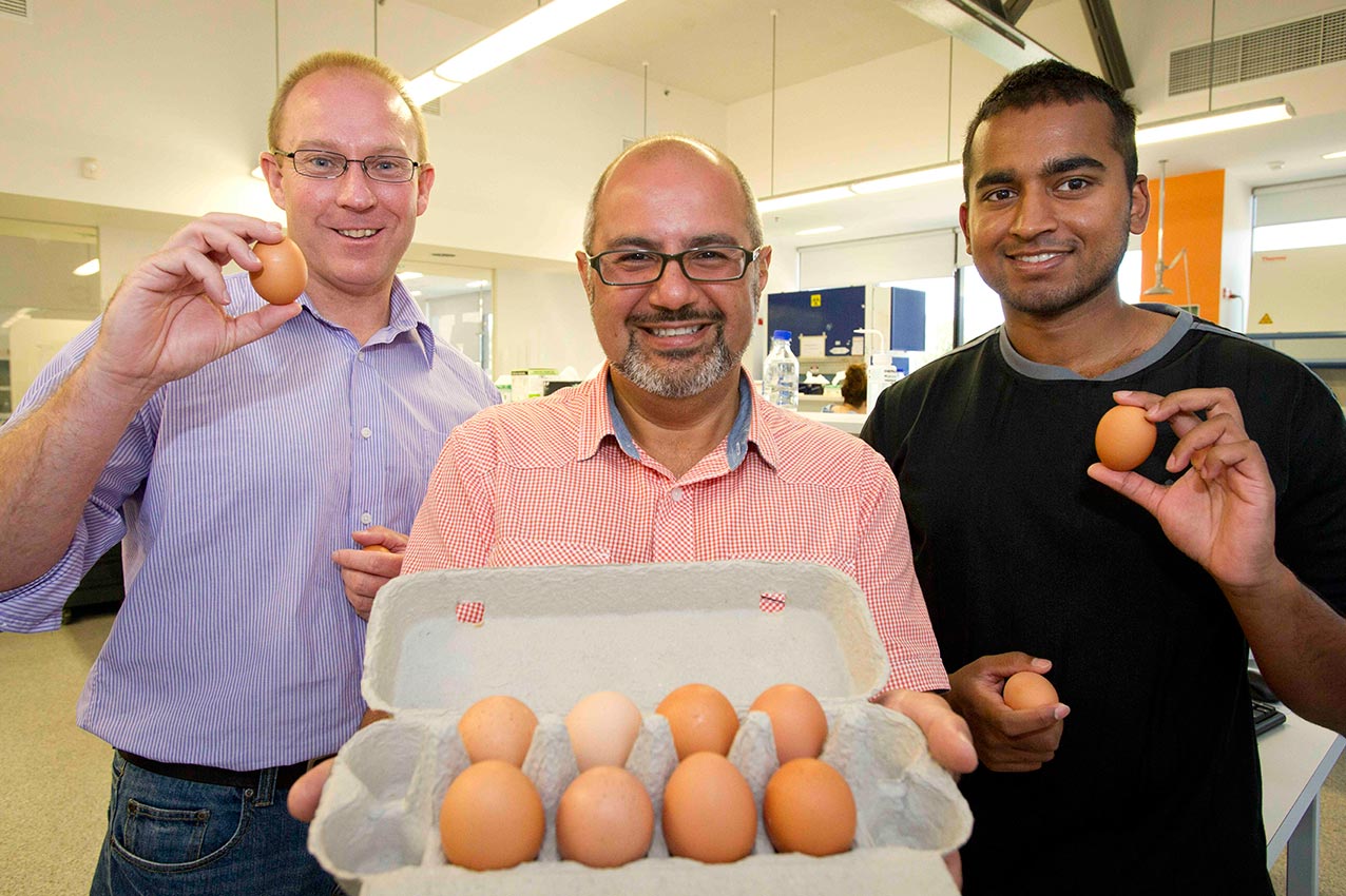 We won't be beaten! The collaborative research is being undertaken by Deakin PhD candidate, Mr Pathum Dhanapala, (RIGHT) under the co-supervision of Associate Professor Suphioglu and Adjunct Professor Doran (LEFT).