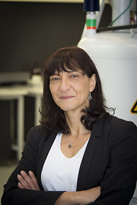 Honour: Australian Laureate Fellow Professor Maria Forsyth is among a select group to be selected for induction into the Australian Science Academy.