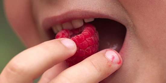 Crunch, chew, suck, or squish? Deakin taste experts explore food feel