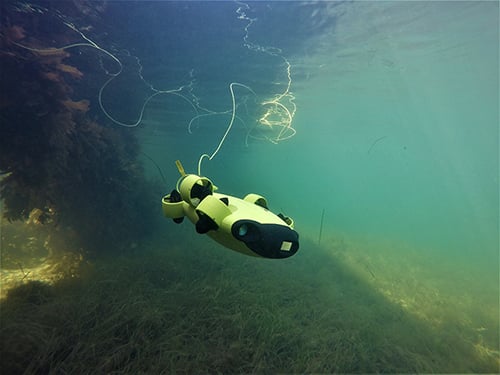 Pickle the underwater drone