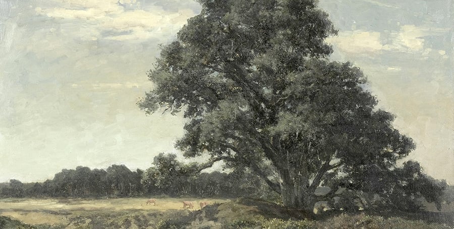 Oil on linen artwork depicting a big tree in Gardiner's Creek from circa 1869