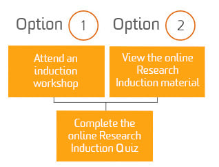 Induction options diagram