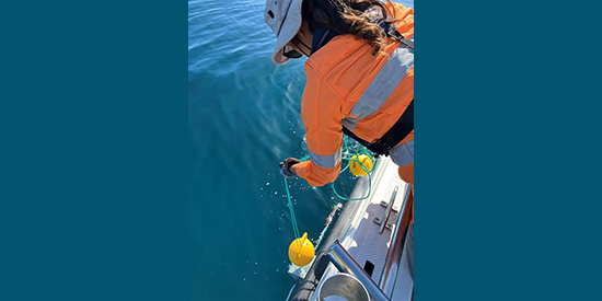 Star of the South back on the water for big fish surveys