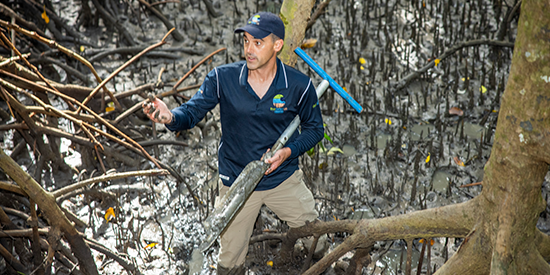 Deakin's Blue Carbon Lab recognised on national scale for climate change research