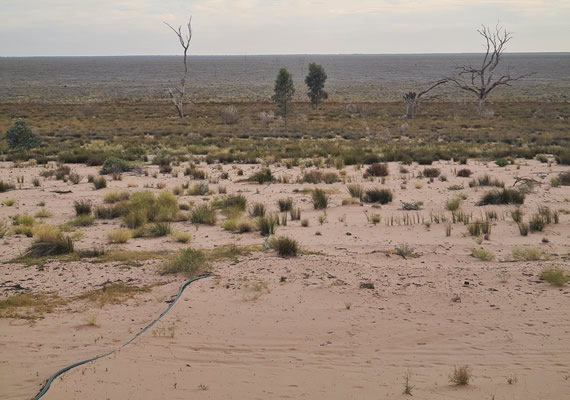Preventing water theft in the Murray-Darling Basin 
