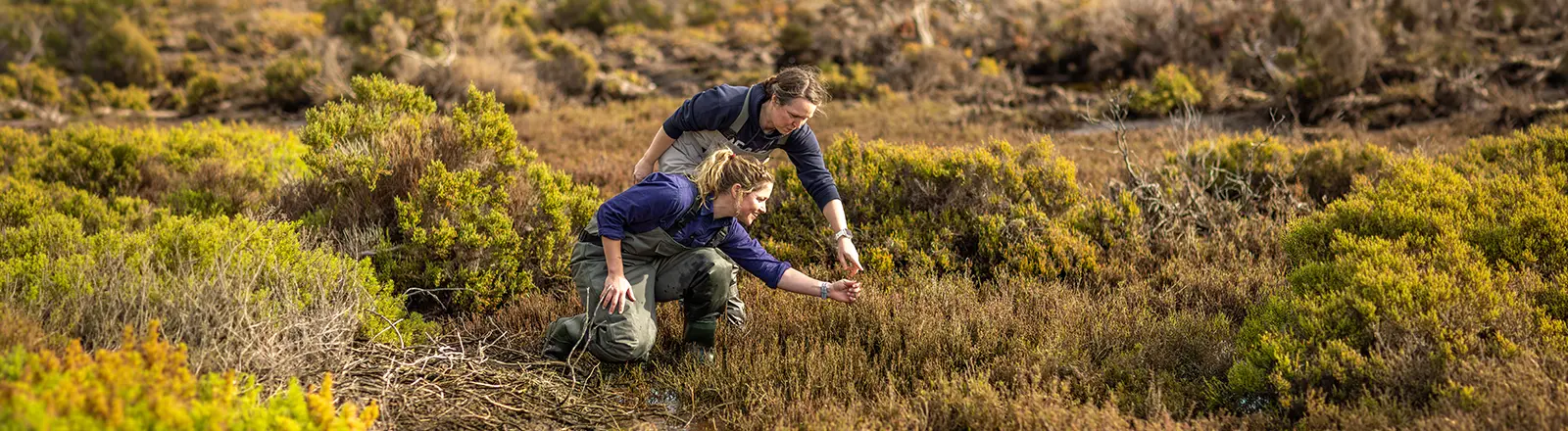Two Deakin postgraduate sustainability students look at plants. 