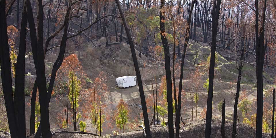 Past research points to potential economic impacts of recent bushfires