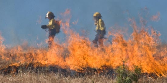 Study shows stress of fighting bushfires and importance of proper rest