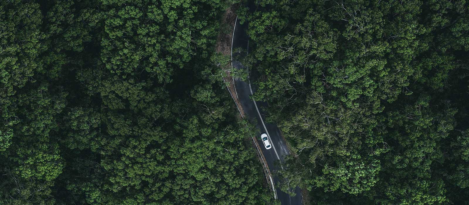 https://www.deakin.edu.au/__data/assets/image/0005/2148512/Hycel-banner-1.jpg