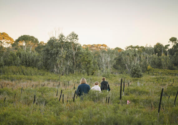 Centre for Regional and Rural Futures