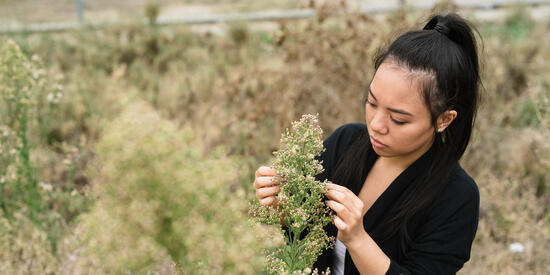 An environmental science student inspects a plant in a field. 