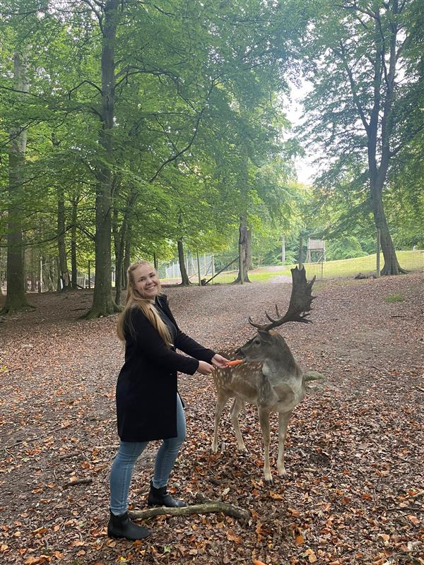 Deakin student in Denmark with deer