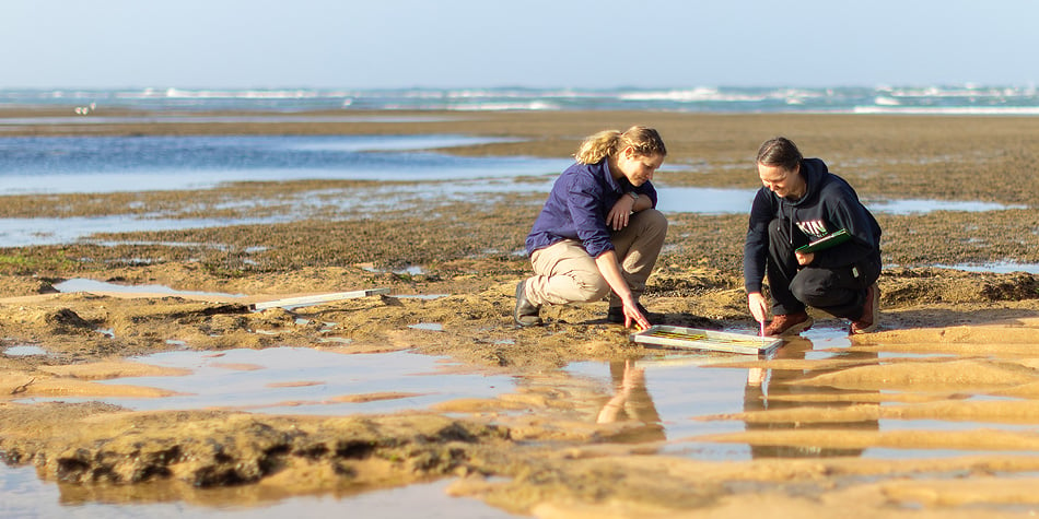 https://www.deakin.edu.au/__data/assets/image/0005/2704595/38256_950x475_marine_science_banner.jpg