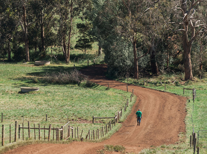 https://www.deakin.edu.au/__data/assets/image/0005/549212/8839_Graduate-Certificate-of-Agricultural-Health-and-Medicine_Hero.jpg