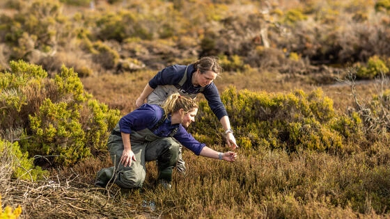 Two Deakin postgraduate sustainability students look at plants. 