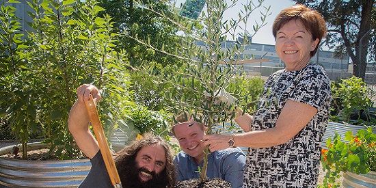 Community Garden at Burwood officially opens