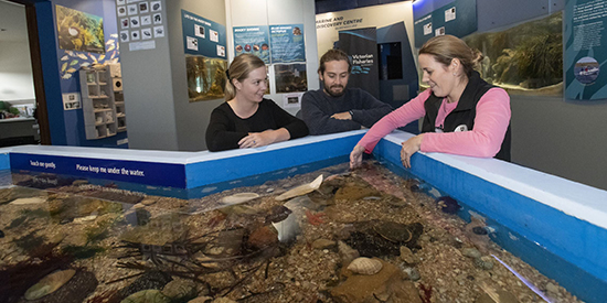 Activities for all ages at marine community day