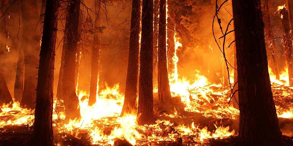 Amazon burning will cause more drought and harm to our Barrier Reef 