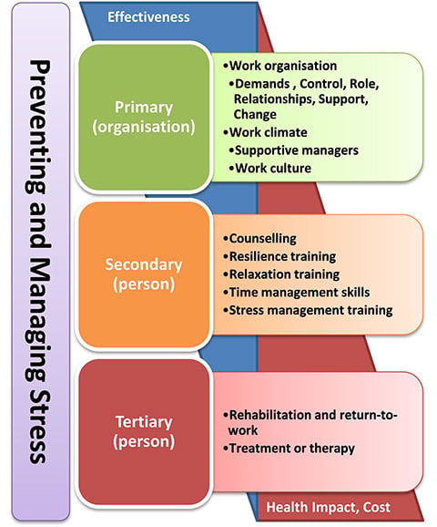 causes and consequences of stress in organisation