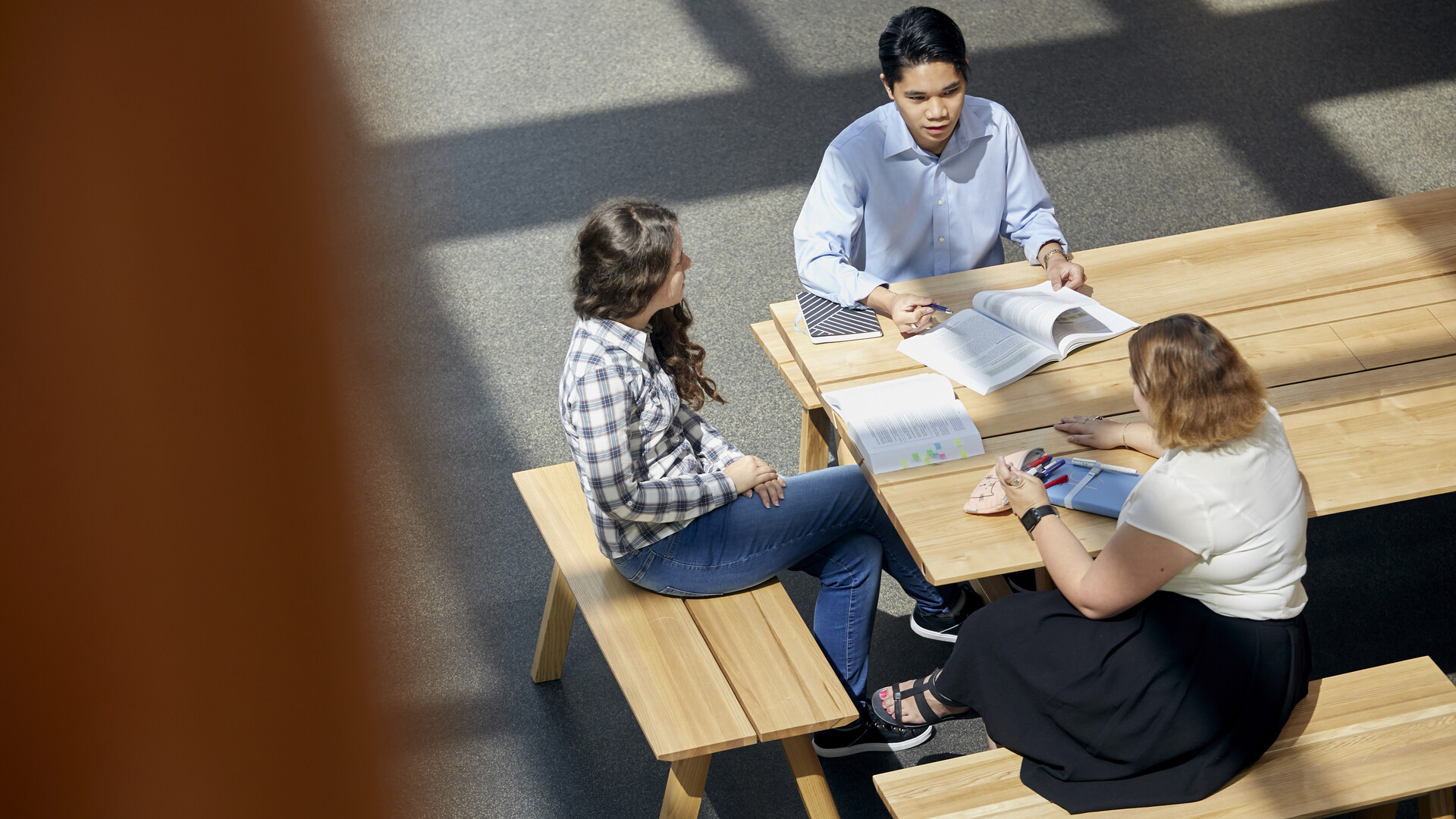 Aerial view of students studying together