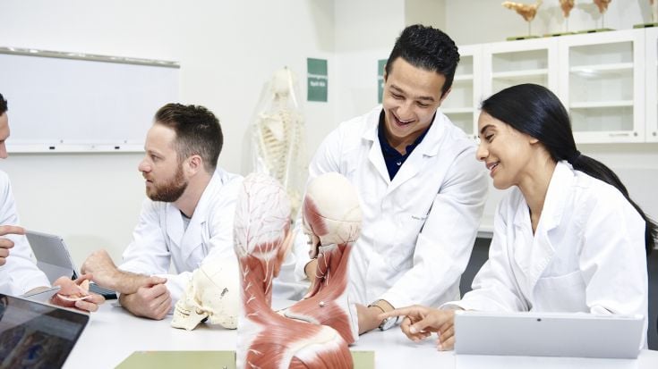 Medicine students examining model of human arm