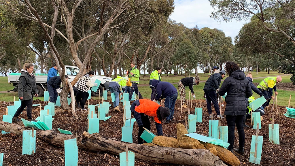 Staff and students planting trees at Deakin Waurn Ponds Campus