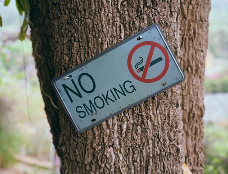 Sign on tree for no smoking
