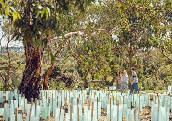 Delama Dja Walk opens in 2024