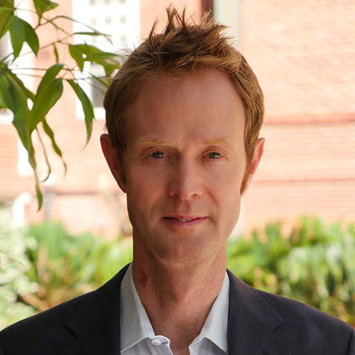 Professor Peter Vuillermin