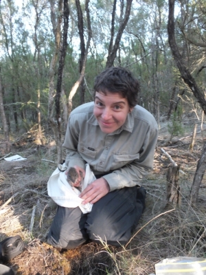 Sarah Maclagan with an endangered southern brown bandicoot.