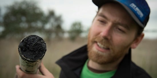 New study reveals value of tidal marshes in fight against climate change