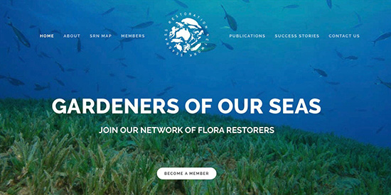 2Taking the battle to save seagrass online