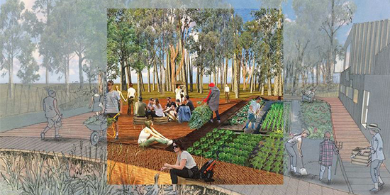 Landscape Australia announces Landscape Architecture Student Prize for 2019