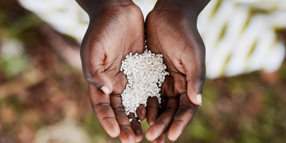 https://www.deakin.edu.au/__data/assets/image/0007/2381254/9793_950x475_deakin_humanitarian-assistance.jpg