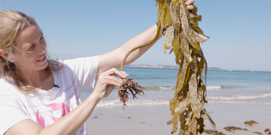 Deakin marine science expert makes a splash as superstar of STEM