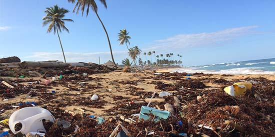 Victoria’s container deposit scheme is set to start in November. Here’s what Deakin researchers learned studying Queensland’s scheme and if it reduced the rubbish that washed up on beaches.