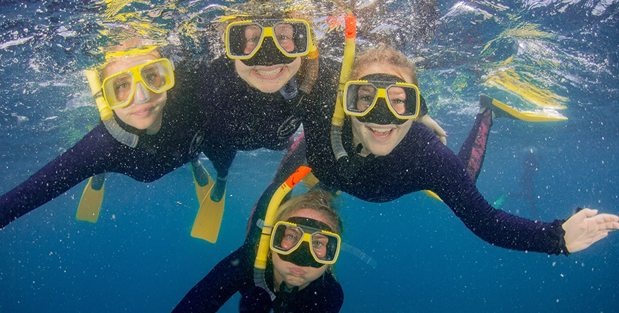 A group of students snorkelling underwater.