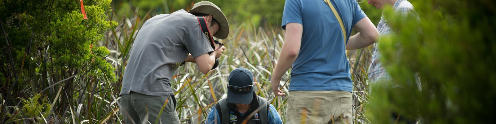 https://www.deakin.edu.au/__data/assets/image/0007/551797/6954_Bachelor-of-Environmental-Science-Wildlife-and-Conservation-Biology_hero.jpg