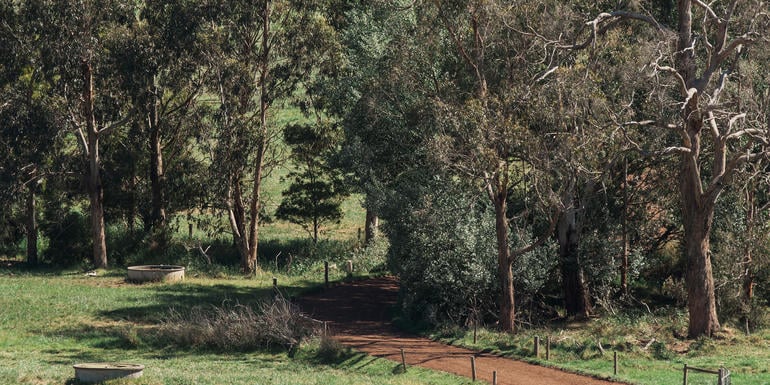 Aboriginal Deakin graduates developing deadly bush kinder programs