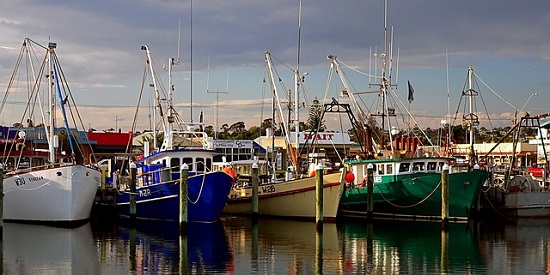 Health check-up for commercial fishing industry an Australian first