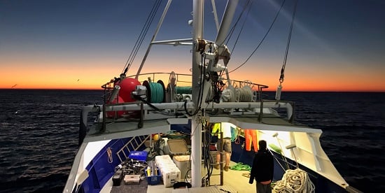 Deakin researchers help close gap in national ocean monitoring